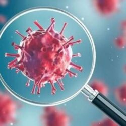 Contagiados podem ter imunidade de 5 meses, mas disseminar coronavírus