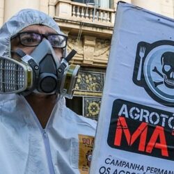 Agrotóxicos: 17 pontos para compreender os perigos do novo decreto de Bolsonaro