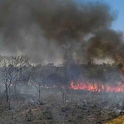 Terra indígena que mais queima em 2021 enfrenta avanço da pecuária, desmatamento e pesca ilegal