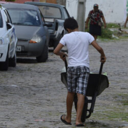 Deputada bolsonarista quer acabar com a infância legalizando o trabalho infantil