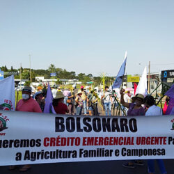 MST faz atos cobrando lei de apoio à agricultura familiar após secas e enchentes; veja as fotos