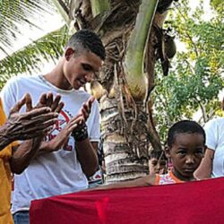 Por que Caetano Veloso, classe artística e ambientalistas estão contra o Pacote da Destruição?
