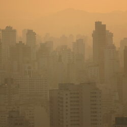 OMS: poluição faz 99% da humanidade respirar ar de má qualidade