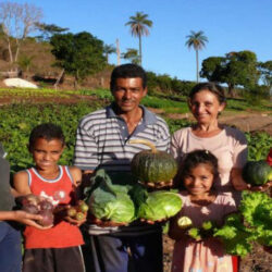 Pelo quarto ano consecutivo governo corta crédito para a agricultura familiar