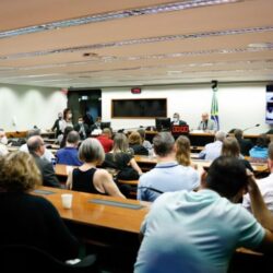FENASPS DENUNCIA DESESTRUTURAÇÃO DO INSS EM AUDIÊNCIA NA CÂMARA DOS DEPUTADOS