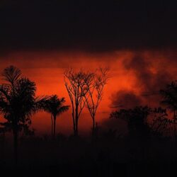 O que não indígenas deveriam aprender com os povos originários para impedir a queda do céu?