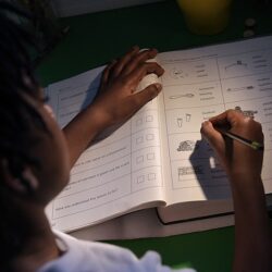 Artigo | Homeschooling: as trevas e a servidão ultraliberal