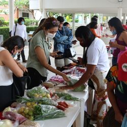 No Ceará, Feira da Reforma Agrária reúne arte, debate e agroecologia