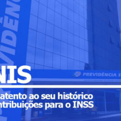 Veja como acompanhar histórico de contribuições ao INSS e garanta sua aposentadoria