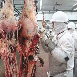 Projeto de autofiscalização sanitária coloca a saúde e a vida da população em risco