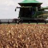 Emergência climática pode reforçar a desigualdade global na produção no campo