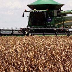 Emergência climática pode reforçar a desigualdade global na produção no campo