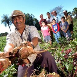Agricultura familiar elege cinco deputados e um senador