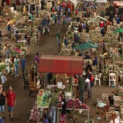 Fome: quais caminhos o governo Lula precisa adotar em 2023?