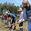 Cadastro que beneficia Agricultura Familiar começa nesta terça-feira (1)