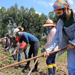 Cadastro que beneficia Agricultura Familiar começa nesta terça-feira (1)