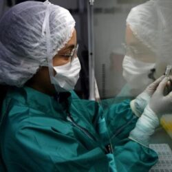 Saúde como ferramenta de crescimento econômico