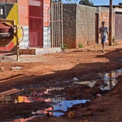 Crescimento da dengue e da chikungunya exige ação imediata, alerta Ministério da Saúde