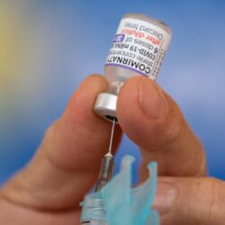 SP: idosos acima de 60 anos recebem Pfizer bivalente na segunda-feira
