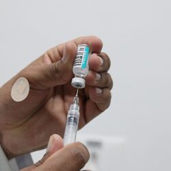 Vacina bivalente contra a covid é disponibilizada para toda a população acima de 18 anos