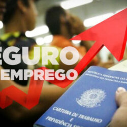 Veja como ficam os valores do seguro-desemprego após o reajuste do salário mínimo