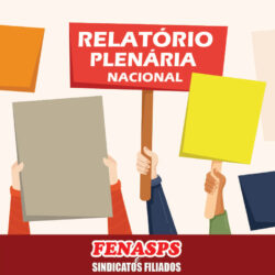 Relatório da Plenária Nacional Virtual da FENASPS