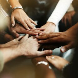 Ferramenta permite comparar situação de equidade racial e de gênero