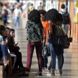 Lei de Cotas: entenda as mudanças aprovadas na Câmara