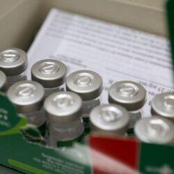 Vacina da hepatite B foi primeira a prevenir contra um tipo de câncer