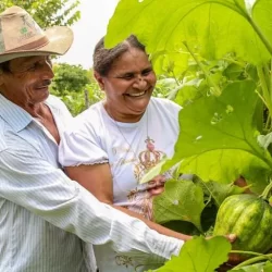 Ceará terá investimento de R$ 251 milhões para agricultura familiar