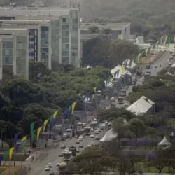 Em campanha contra os feminicídios, Ministério das Mulheres se equilibra entre metas e escassez de verbas