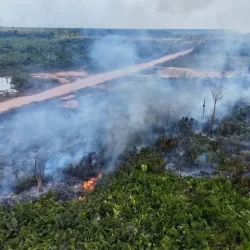 Governo entra com primeira ação por danos climáticos contra a Amazônia