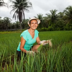 Edital Mulheres Rurais busca fortalecer trabalhos desenvolvidos por camponesas no Ceará