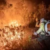 Com seca e ação humana, incêndios no Cerrado aumentam 117% em 2024; fazendas lideram áreas queimadas