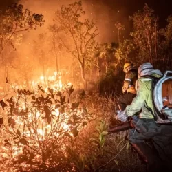 Com seca e ação humana, incêndios no Cerrado aumentam 117% em 2024; fazendas lideram áreas queimadas