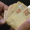 Benefícios sociais garantem rendimento médio recorde de R$ 836 em 2024