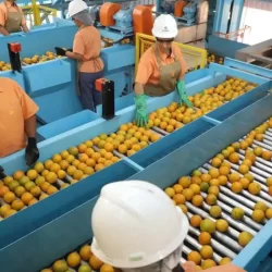 Veja a lista de quase 700 produtos que não serão taxados pelos EUA