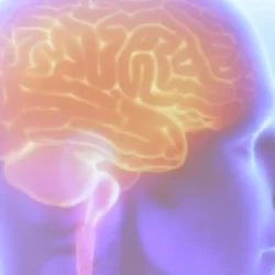 Projeto Ártemis avalia genética de pacientes que sofreram AVC