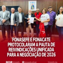 ENTIDADES DO SERVIÇO PÚBLICO FEDERAL PROTOCOLAM EM 30/1 A PAUTA DE REIVINDICAÇÃO NO MGI