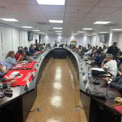 EM AUDIÊNCIA NO MGI EM 26/4 GOVERNO CONFIRMA REAJUSTE SALARIAL E BENEFÍCIOS