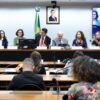 Especialistas defendem na Câmara imposto seletivo para alimentos que contribuem para obesidade