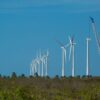 Projeto mapeia caminhos para economia verde no Nordeste
