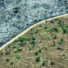 91% dos eleitores acham importantes propostas contra a crise climática; veja o que os presidenciáveis prometem