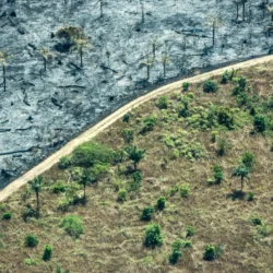 91% dos eleitores acham importantes propostas contra a crise climática; veja o que os presidenciáveis prometem