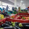 Campanha busca engajamento para reduzir desperdício de alimento