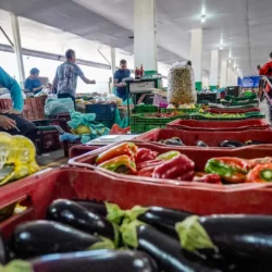 Campanha busca engajamento para reduzir desperdício de alimento